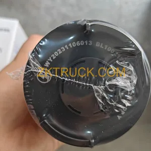diesel filter cleaner 1002175688