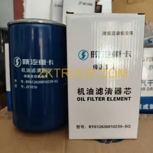 oil and oil filter 612630010239