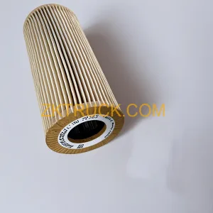 Oil filter WG2203240200