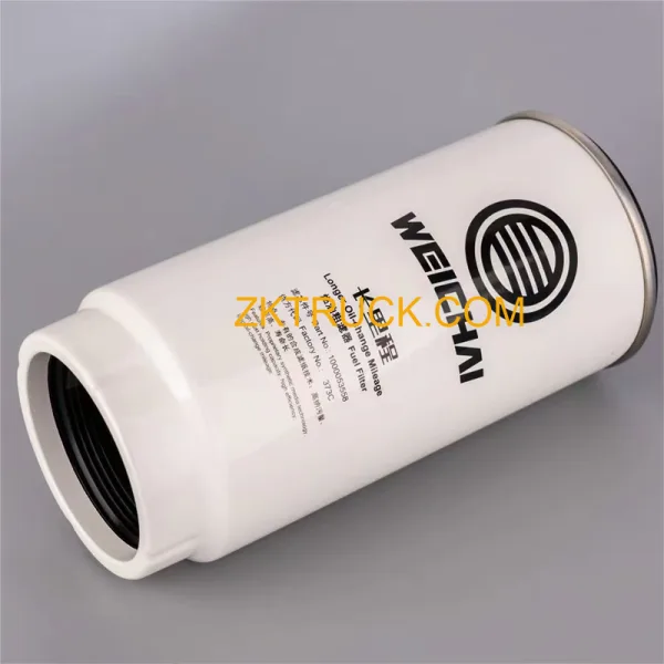 diesel filter cleaner 1000053558