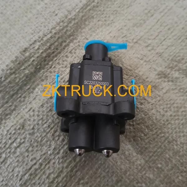 DOUBLE H VALVE WG2203250003